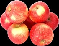 Яблоки Пинова вес