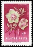 (1958-054) Марка Венгрия 