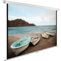 Экран Cactus 138x220см WallExpert CS-PSWE-220x138-WT 16:10 настенно-потолочный рулонный белый