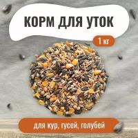 Корм для лесных, парковых, уличных, диких, домашних уток 1 кг. Для кур, гусей, голубей. Зерновая смесь для птиц