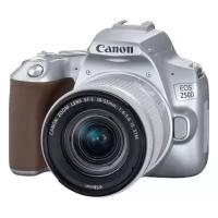 Canon EOS 250D 18-55 kit Silver RUS