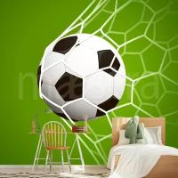 Фотообои Мяч в сетке на зеленом фоне 275x276 (ВхШ), бесшовные, флизелиновые, MasterFresok арт 12-524