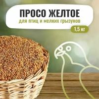 Просо желтое 1.5 кг. Корм для домашних лесных уличных птиц попугаев и мелких грызунов / зерно