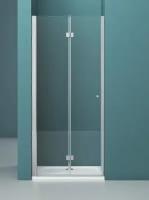 Душевая дверь в нишу Belbagno ALBANO-BS-12-100-C-Cr