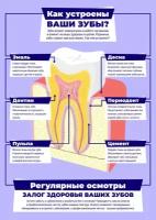 Плакат для стоматологии 