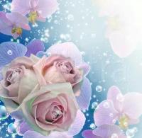 Фотообои Крупные розовые розы 275x283 (ВхШ), бесшовные, флизелиновые, MasterFresok арт 4-030