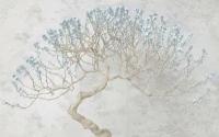 Фотообои Стереоскопическое дерево нежно-голубое 260x419 (ВхШ), бесшовные, флизелиновые, MasterFresok арт 15-408