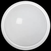 Светильник LED ДПО 5130 12Вт 6500K IP65 круг белый IEK LDPO0-5130-12-6500-K01 (1 шт.)