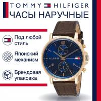 Наручные часы Tommy Hilfiger Daniel 1710418