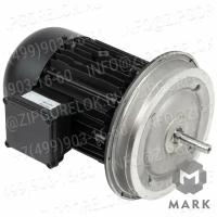 25181707030 Motor W-D112/170-2/5K0 220-240V 50Hz,. Weishaupt (Вайсхаупт)