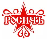 Росичъ 238Б-1029240 Сальник ЯМЗ-7511 оси привода ТНВД 2.2-38х56х10 наружный росичъ