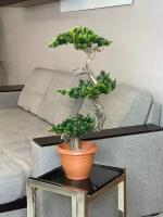 Искусственное дерево Бонсай 65 см / Для дизайна интерьера / Зеленое растение