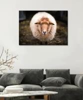 Картина/Овца/Овца в поле/Овцы/Овцы в лесу - Овца (1) 40х60