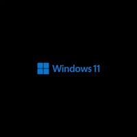 Операционная система Windows 11 Professional for Wrkstns 64-bit Russian 1pk DSP OEI DVD лицензия с COA и носителем информации (