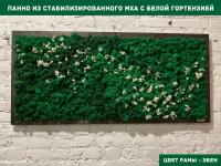 Прямоугольное панно из стабилизированно мха GardenGo с белой гортензией в рамке цвета эбен, 50х100 см, цвет мха зеленый