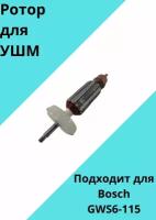 Якорь (ротор) для болгарки (УШМ) УШМ Bosch GWS6-100/6-115, Китай