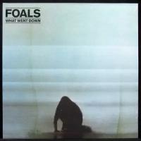 Виниловая пластинка Warner Foals – What Went Down