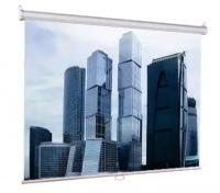 Экран настенный lumien Eco Picture (200х200) Matte White (LEP-100103)