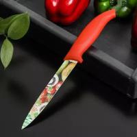 Доляна Нож кухонный с антиналипающим покрытием Доляна «Урожай» универсальный, лезвие 12,5 см