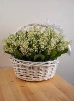 Букет Ландыши белые 51 шт., красивый букет цветов, шикарный, цветы премиум
