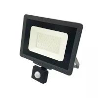 Jazzway Светодиодный прожектор PFL- C3 SENSOR 20w 6500K IP65 .5026926