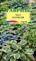 Семена Хоста Патрисия (смесь) 5 шт (семян) (Гавриш)