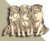 Конструктор-раскраска из дерева Три верных друга Собаки для самостоятельной сборки и раскраски /не окрашенный Детская Логика
