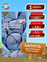 Семена Капуста краснокочанная Сизая голубка Среднеспелые 0,5 гр