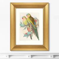 Репродукция картины в раме Love parrots, 1850г. Размер картины: 40,5х50,5см