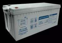 Аккумуляторная батарея Vektor Battery VB 12-200