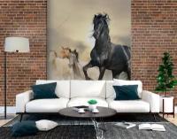 Фотообои Конь черный 275x248 (ВхШ), бесшовные, флизелиновые, MasterFresok арт 9-1771