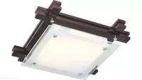 Потолочный светильник Arte Lamp ARCHIMEDE A6462PL-2CK