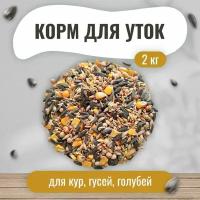 Корм для лесных парковых уличных лесных диких домашних уток 2 кг. Для кур, гусей, голубей. Зерновая кормовая смесь для птиц