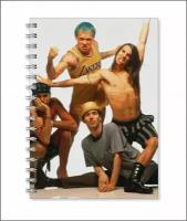 Тетрадь Red Hot Chili Peppers, Ред хот чили пепперс №5, А6 (10 на 15 см)