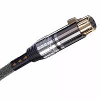 Кабель сабвуферный Tchernov Cable Special XS Sub IC XLR (5 m)