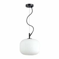 Светильник Odeon Light Roofi 4753/1, E27, 60 Вт, кол-во ламп: 1 шт., цвет арматуры: черный, цвет плафона: белый