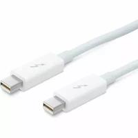 Apple Thunderbolt Cable (0.5 m)