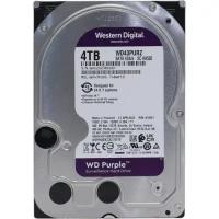 Жесткий диск Western digital Purple 4 Тб WD43PURZ