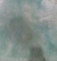 HWIT CO LTD Ковер-накидка из натуральной овчины четырехшкурная голубая 04SS 8006 0.95x1.9 м