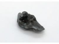 Сихотэ-Алинский метеорит [3.2 гр.]
