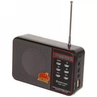 Радиоприемник FM мини-аудио