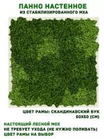 Панно из стабилизированно мха GardenGo в рамке цвета скандинавский бук, 50х50 см, цвет мха зеленый