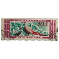 Почтовая марка Монголия 10 мунгу 1959 г. Кольчатый фазан.Стандарт.марки:Монгольская дикая природа(2)