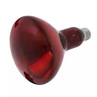 Фитолампы Без бренда Лампа инфракрасная, 250 Вт, Е 27, 220В, длина волны 2500 нм, красная колба