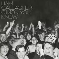 Виниловая пластинка Warner Liam Gallagher – C'mon You Know (coloured vinyl)