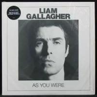 Виниловая пластинка Warner Liam Gallagher – As You Were (coloured vinyl)