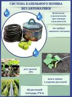 Аква Дуся (Беларусь) 60 кустов капельный полив растений из ёмкости для теплицы многолетний