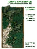 Панно из стабилизированно мха GardenGo в рамке цвета орех, 60х130 см, цвет мха зеленый