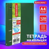 Тетрадь на кольцах А4 240х310 мм 120 л клетка BRAUBERG Joy зелёный/светло-зелёный 404508 (1)