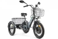 Электровелосипед Eltreco Green City e-Alfa Trike, год 2023, цвет Серебристый